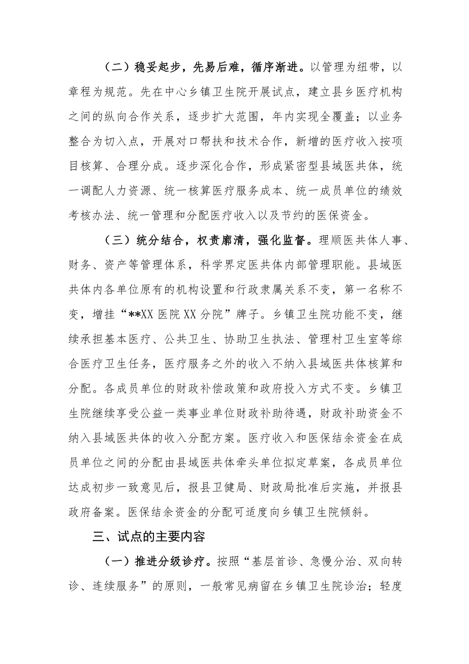 县域医疗服务共同体试点工作实施方案(试行).docx_第2页