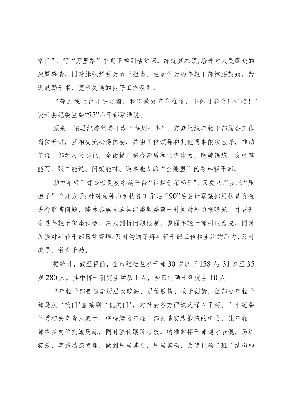 加强年轻干部培养力度+扎实推进人才梯队建设.docx_第2页