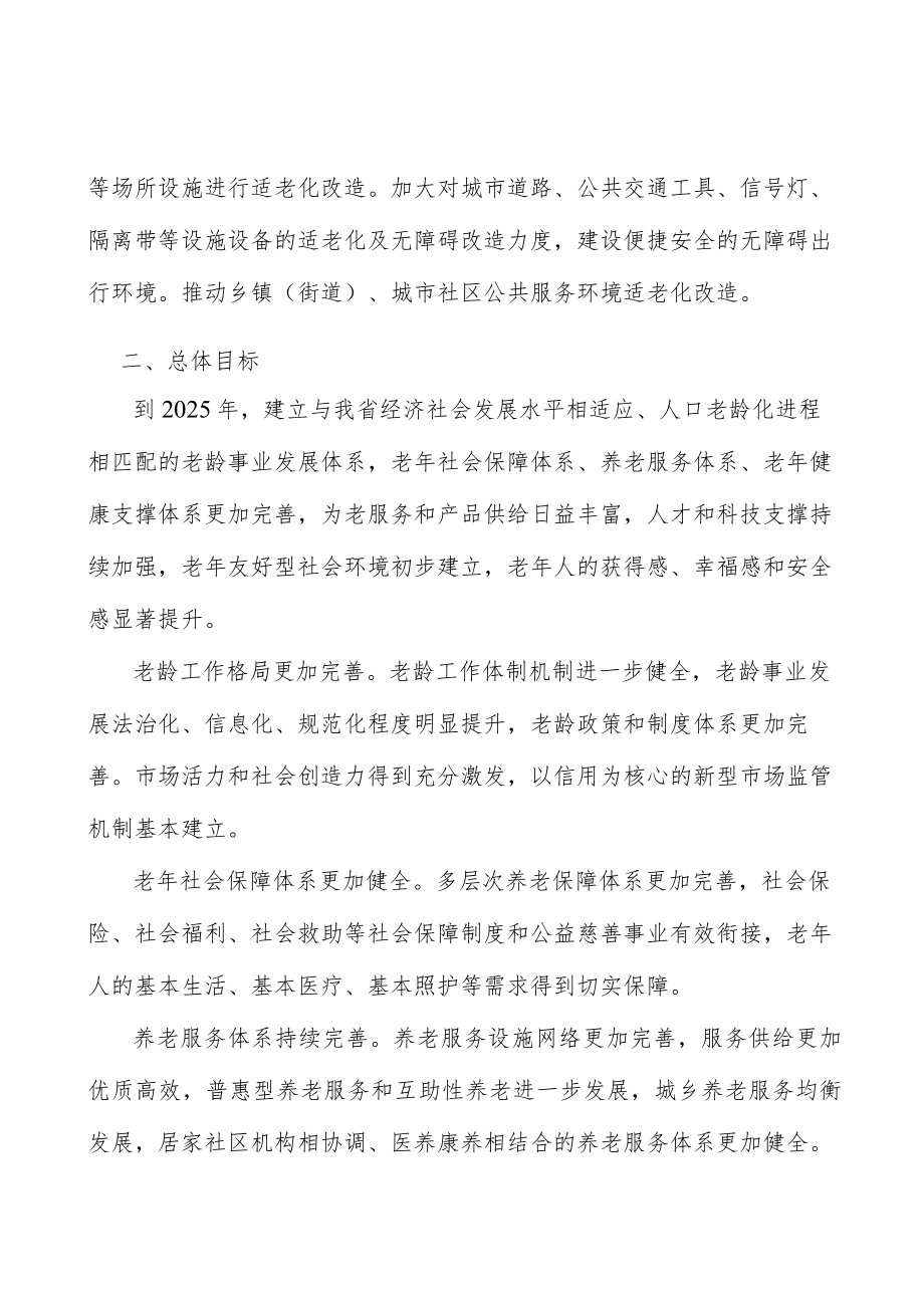 加强老年便利化设施建设行动计划.docx_第2页