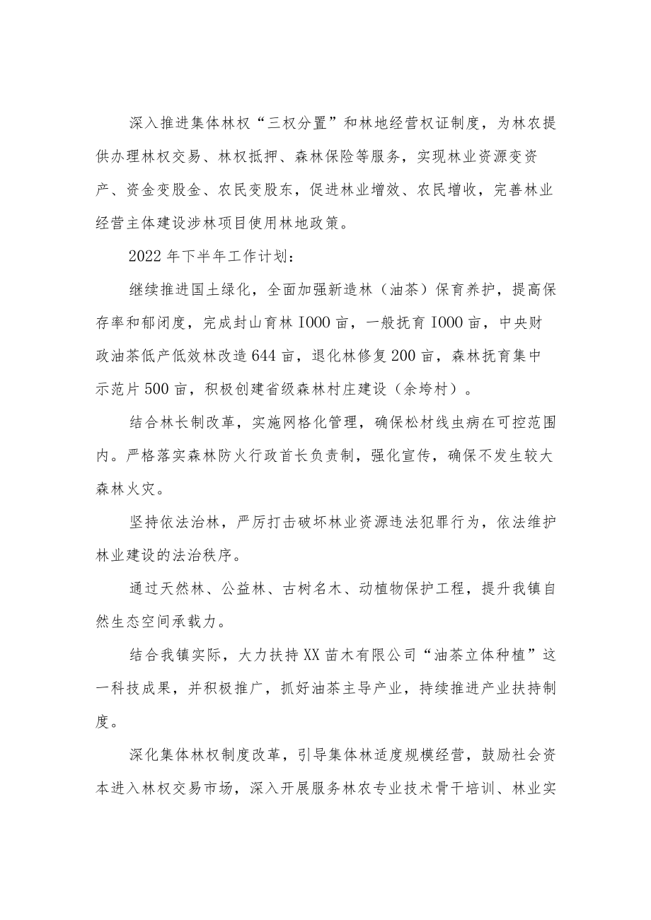 XX镇2022年林业上半年工作总结.docx_第3页