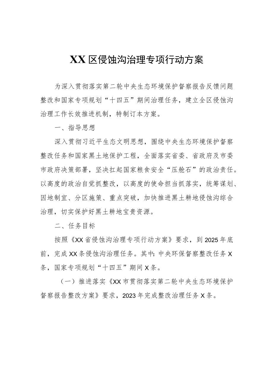 XX区侵蚀沟治理专项行动方案.docx_第1页