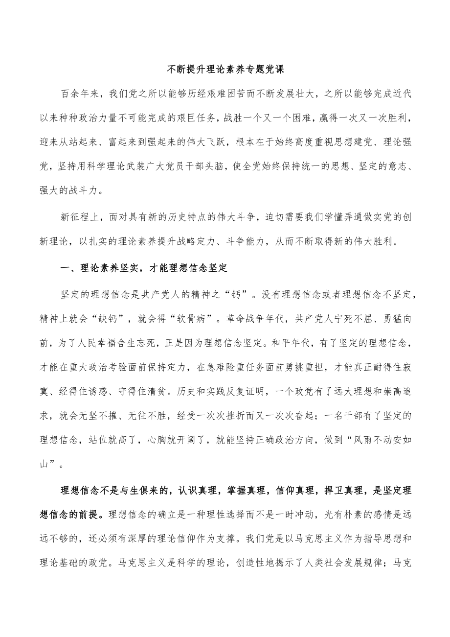 不断提升理论素养专题党课.docx_第1页