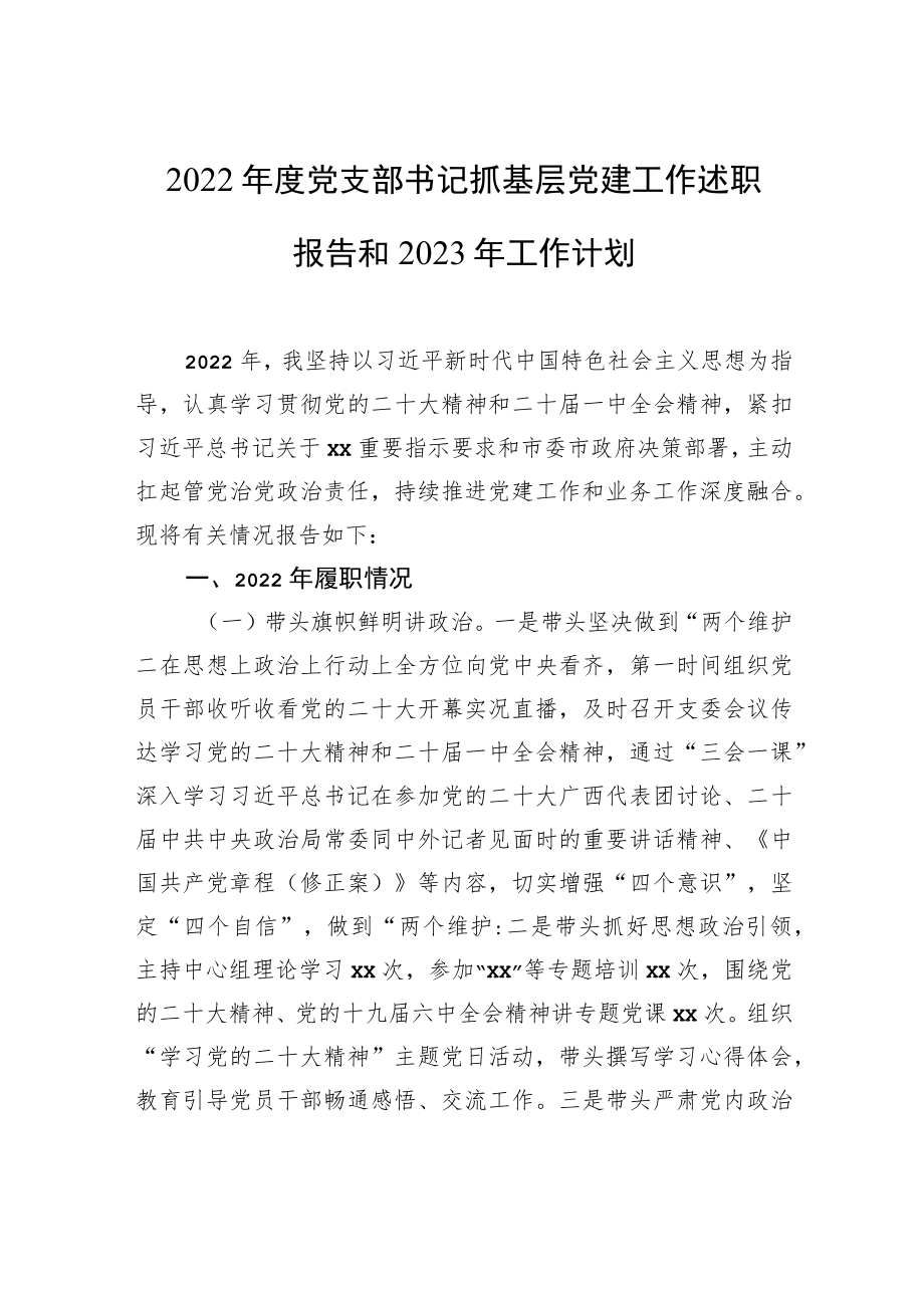 2022年度党支部书记抓基层党建工作述职报告和2023年工作计划.docx_第1页