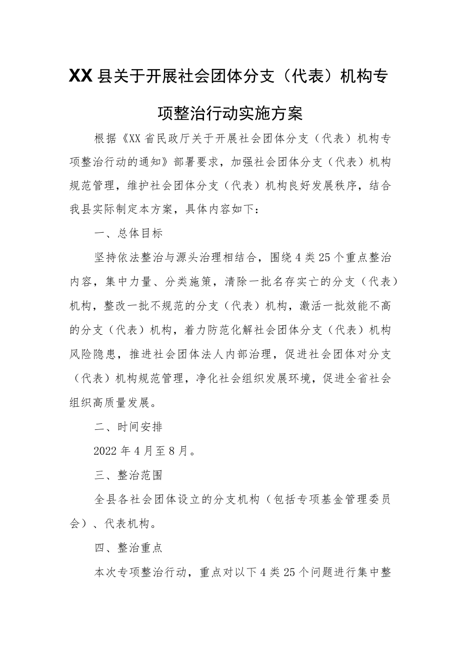 XX县关于开展社会团体分支(代表)机构专项整治行动实施方案.docx_第1页