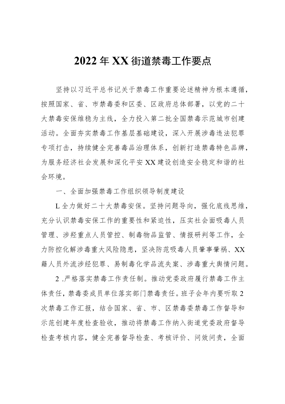 2022年XX街道禁毒工作要点.docx_第1页