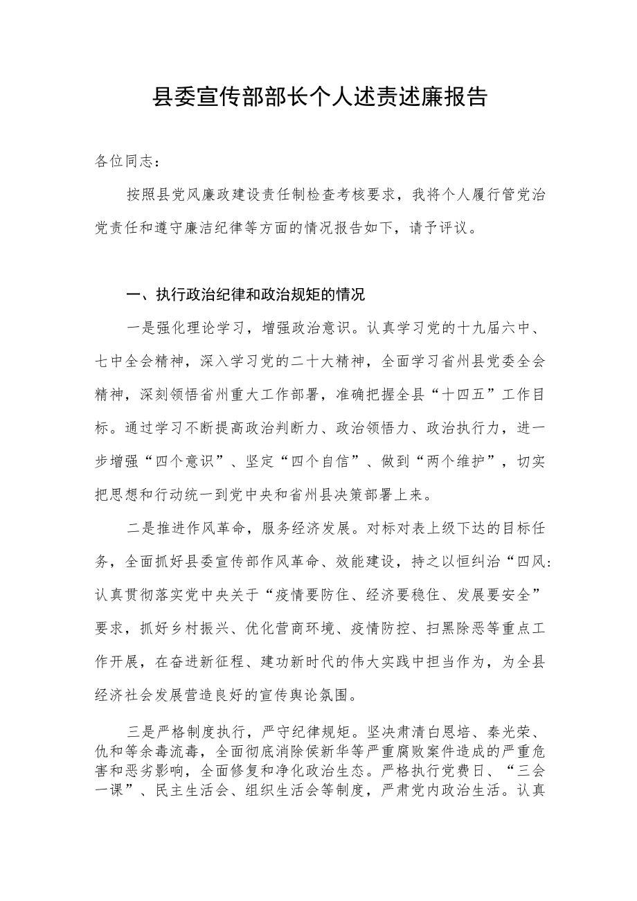 2022年度县委宣传部部长个人述责述廉报告.docx_第1页