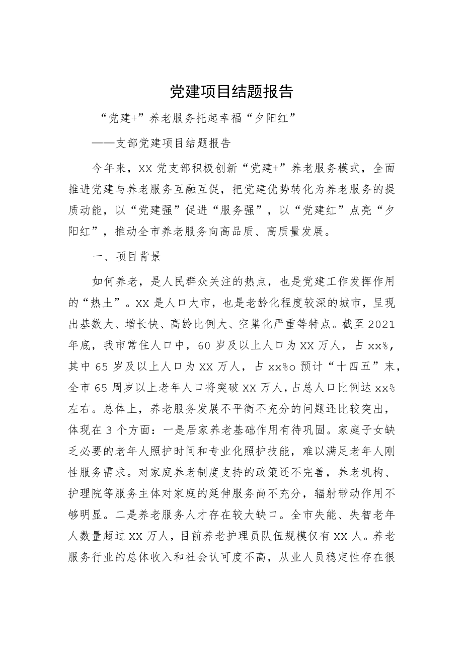 党建项目结题报告.docx_第1页