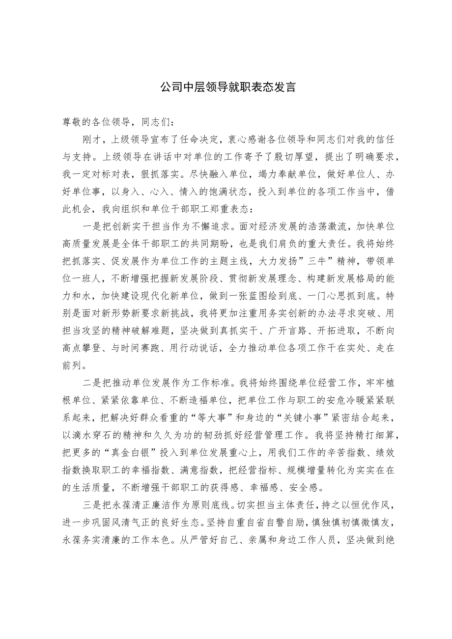 公司中层领导就职表态发言.docx_第1页