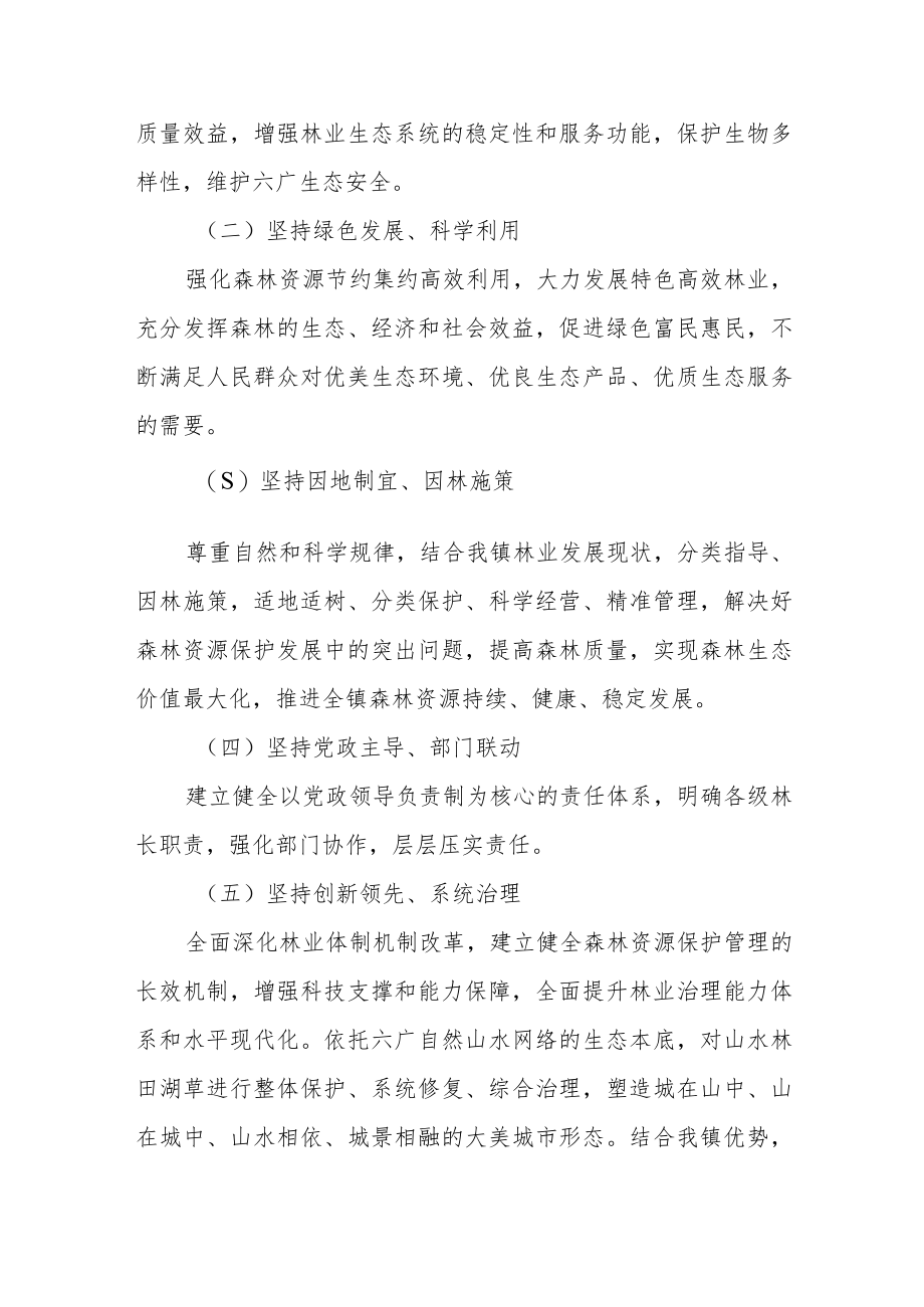 乡镇全面实行林长制的实施方案.docx_第2页