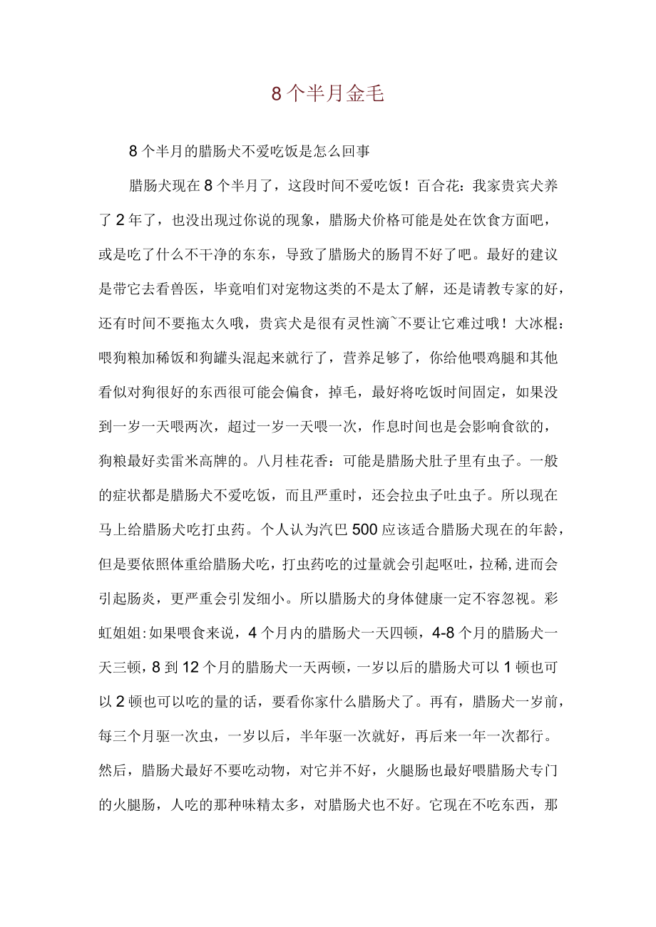 8个半月金毛.docx_第1页