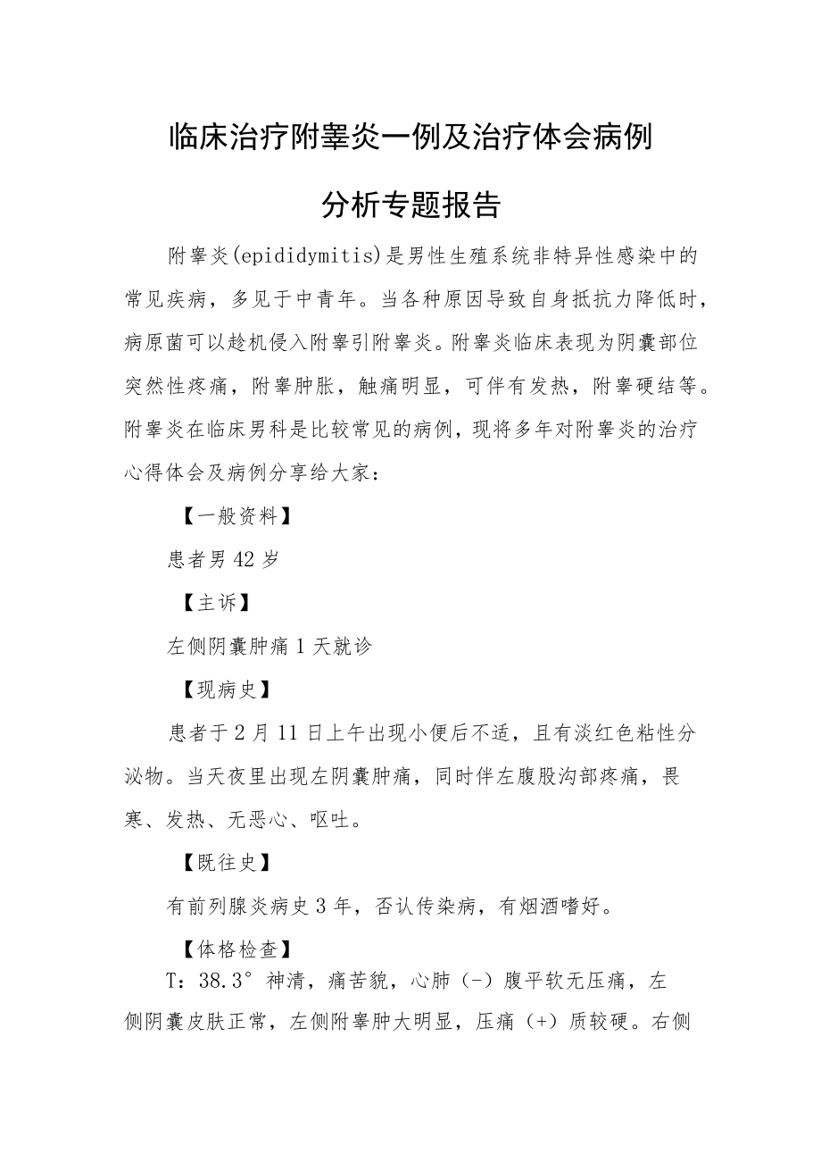 临床治疗附睾炎一例及治疗体会病例分析专题报告.docx_第1页