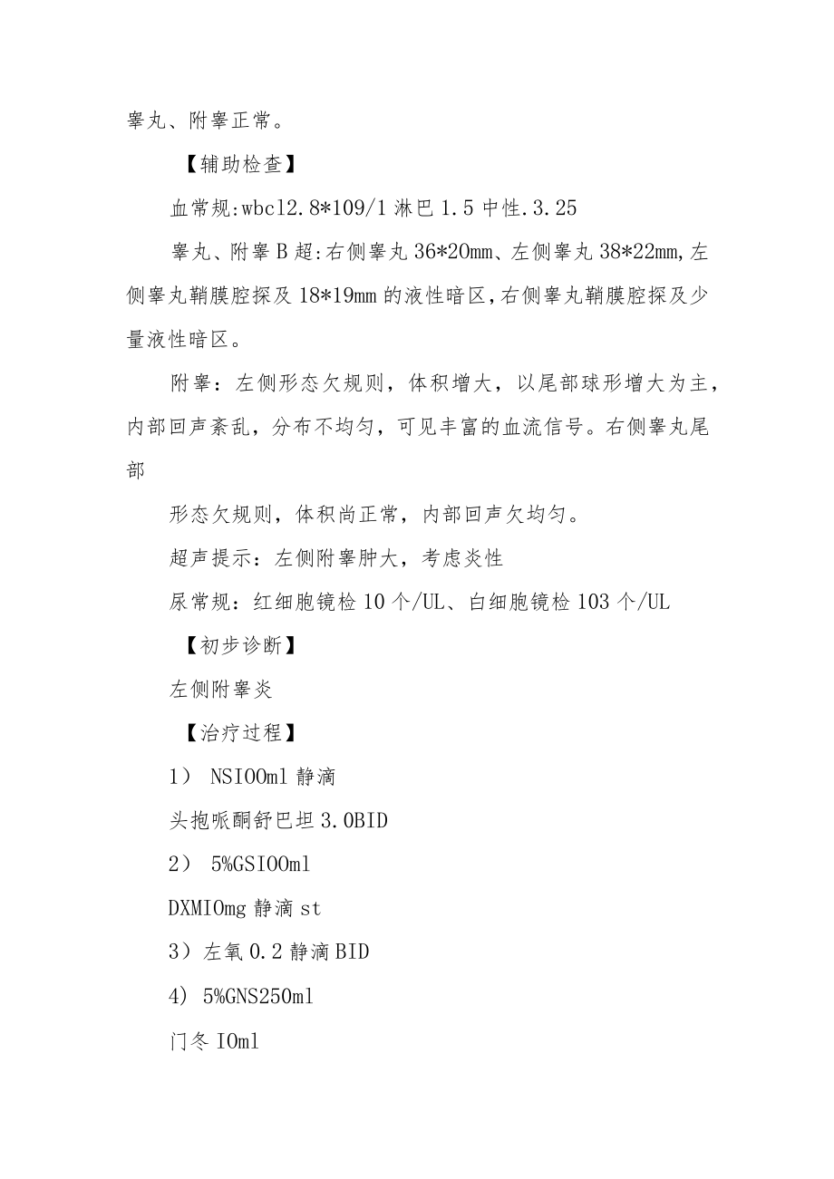 临床治疗附睾炎一例及治疗体会病例分析专题报告.docx_第2页