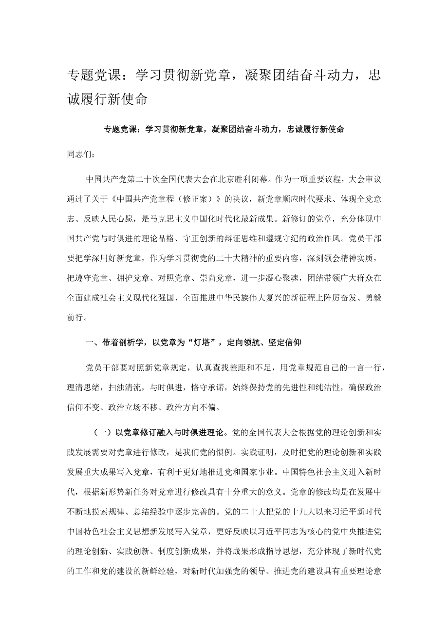 专题党课：学习贯彻新党章凝聚团结奋斗动力忠诚履行新使命.docx_第1页