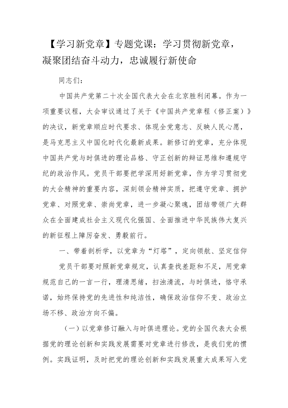 【学习新党章】专题党课：学习贯彻新党章凝聚团结奋斗动力忠诚履行新使命.docx_第1页