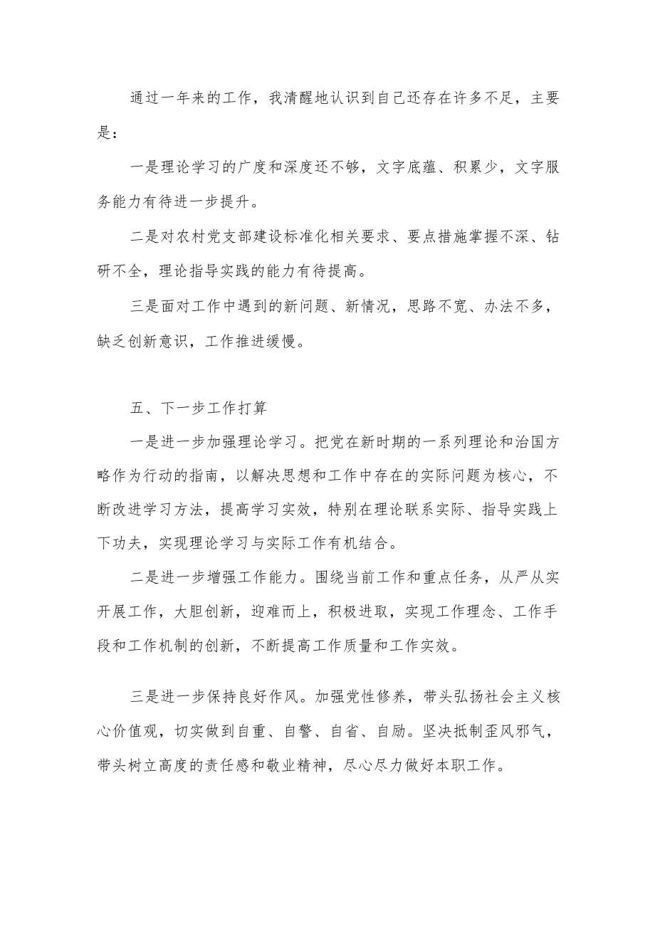 2022－2023年度党务专干个人工作总结下一步工作打算.docx_第3页