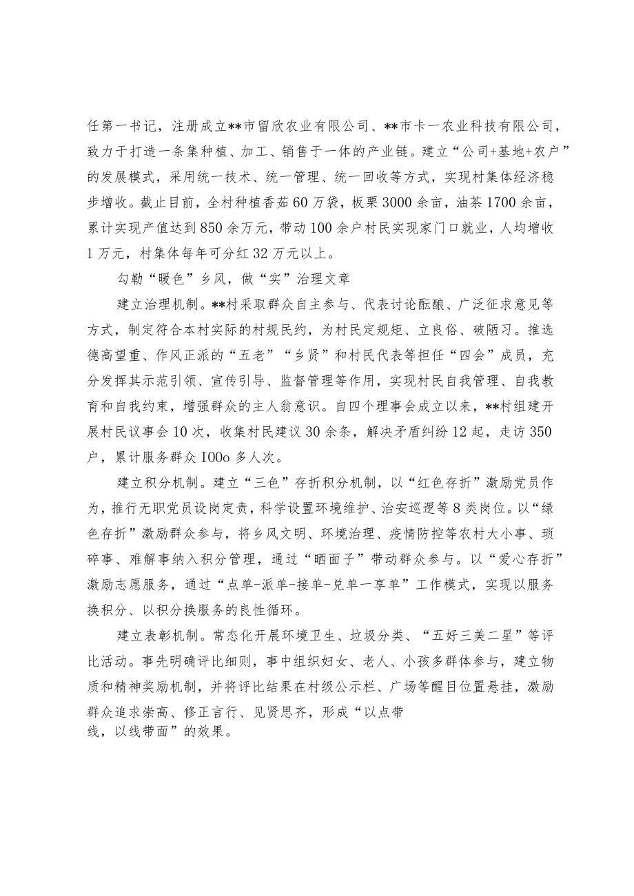 党建引领乡村振兴经验交流材料.docx_第3页