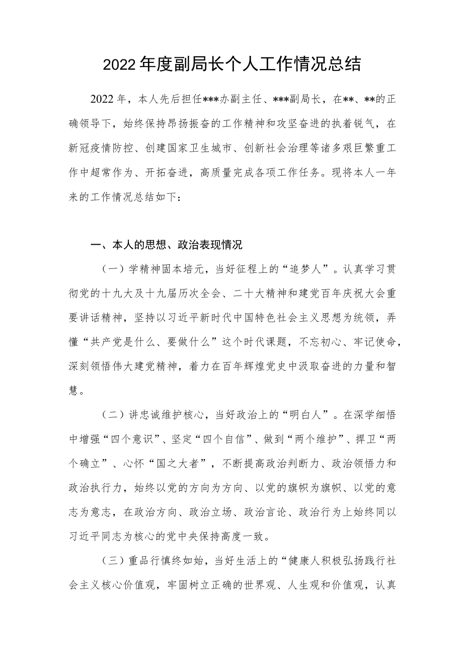 2022年度副局长个人工作情况总结.docx_第1页