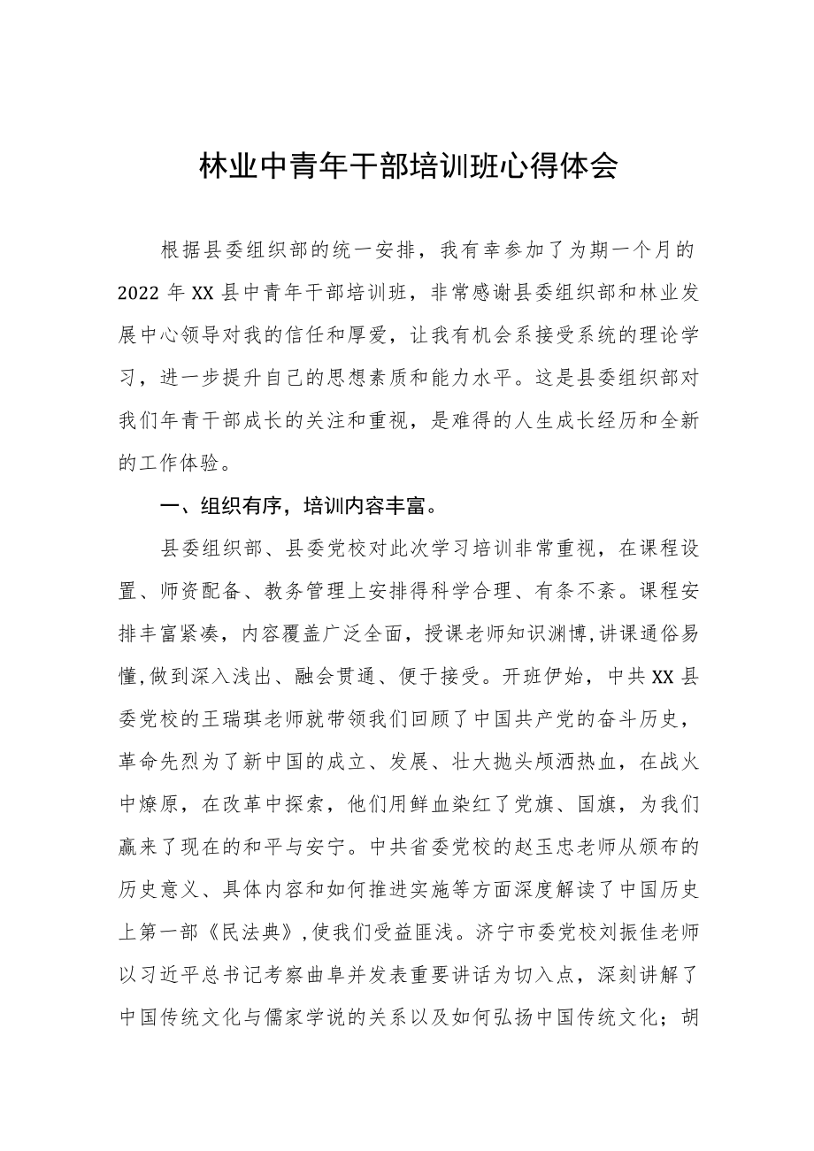 2022年优秀年轻干部培训班学习心得体会感悟五篇样本.docx_第1页