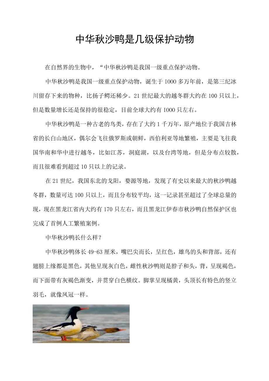 中华秋沙鸭是几级保护动物.docx_第1页