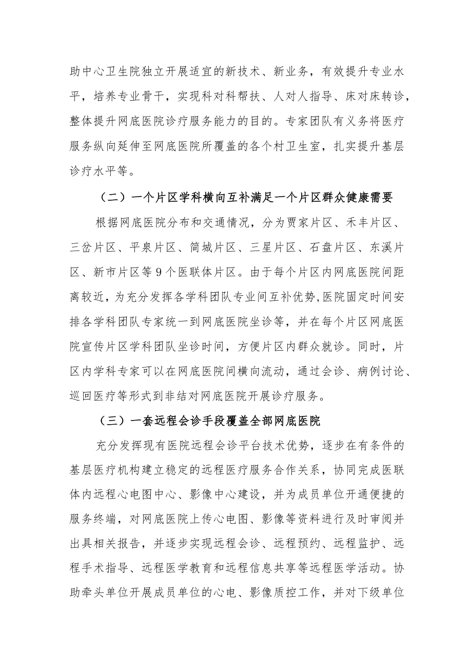 人民医院区域医联体建设实施方案.docx_第3页