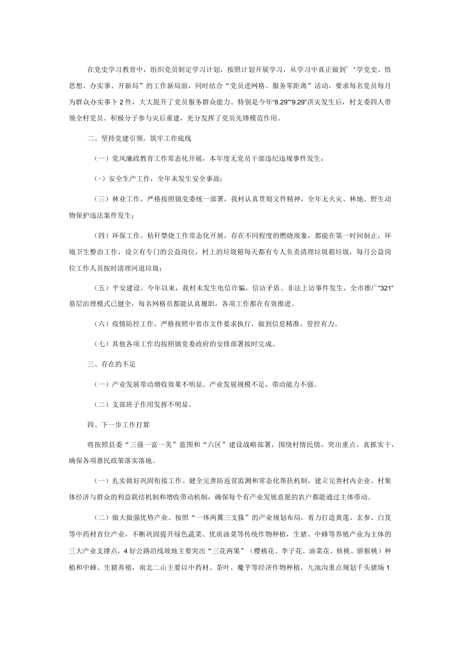 2022年村党支部书记述职材料.docx_第2页