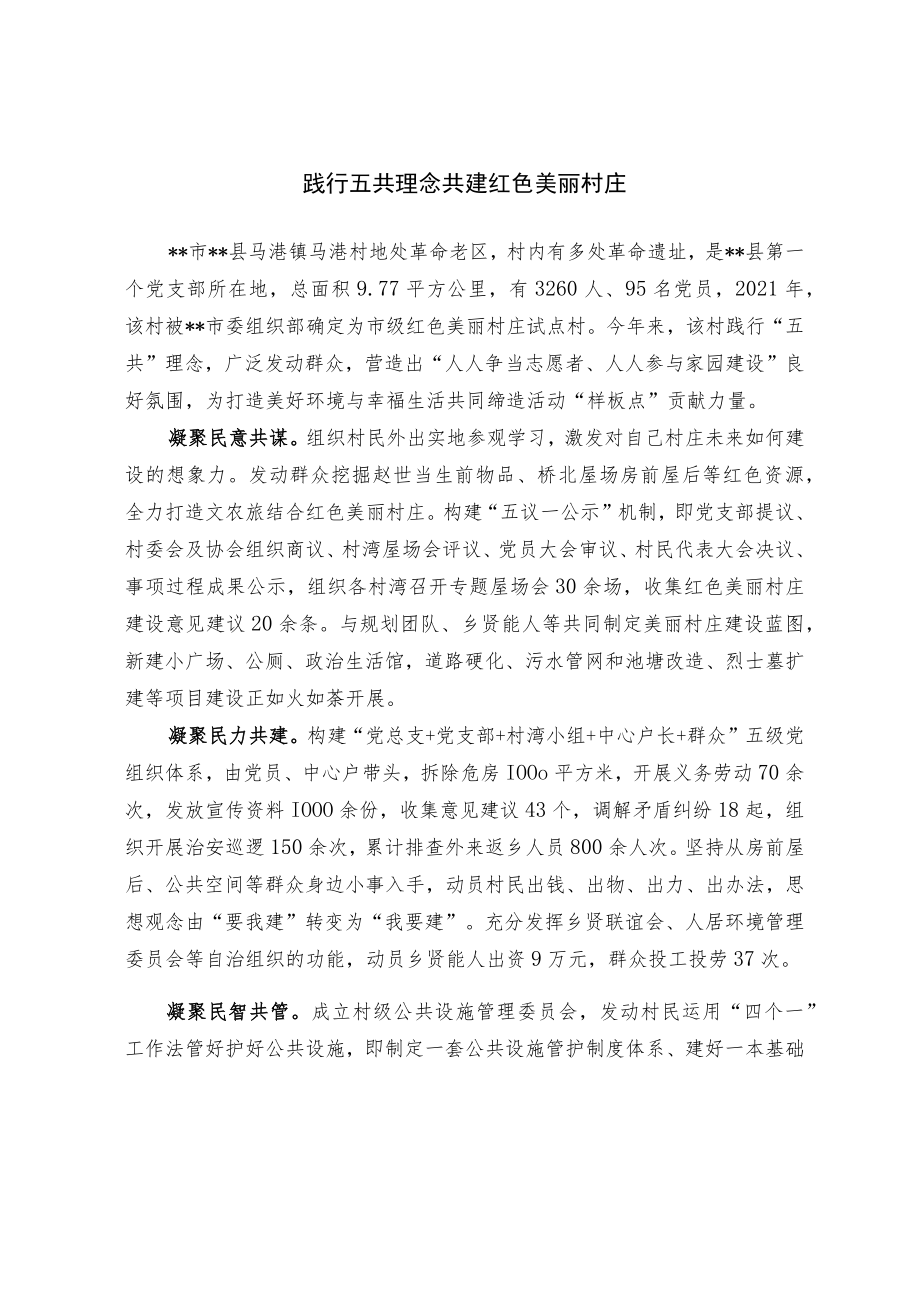 【经验总结】践行五共理念 共建红色美丽村庄.docx_第1页