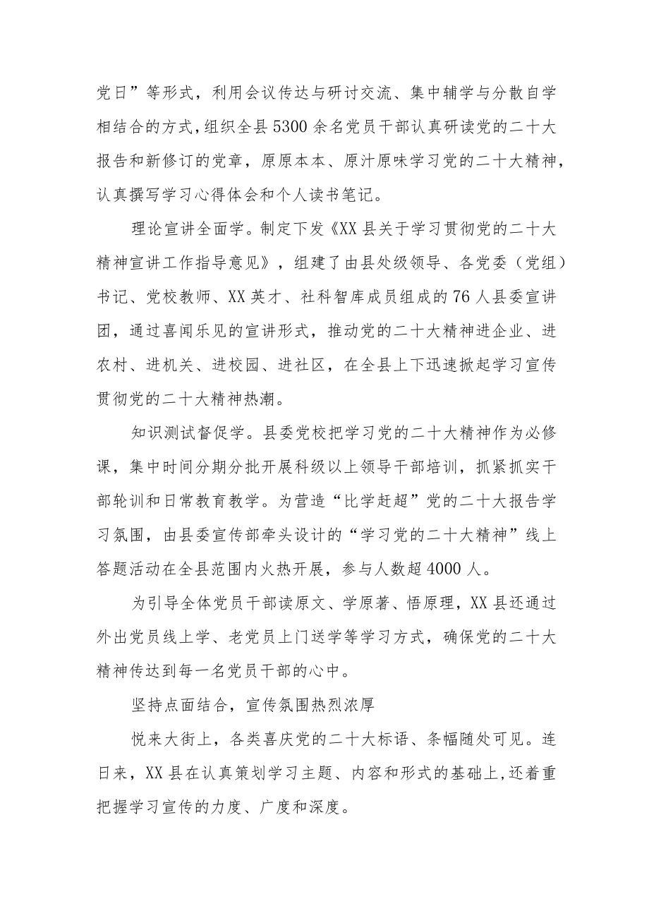 2022年XX县学习宣传贯彻情况总结.docx_第2页