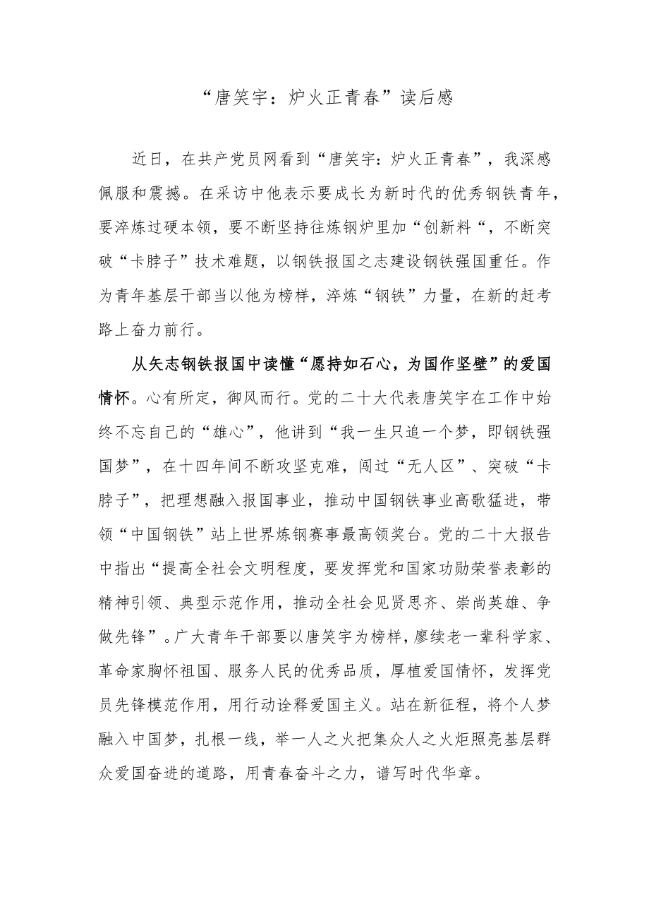 “唐笑宇：炉火正青春”读后感.docx_第1页