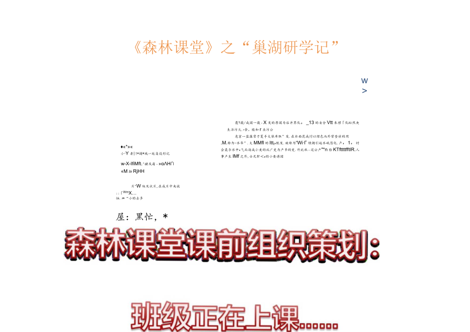 《巢湖研学记》课例材料：巢湖研学记过程.docx_第2页