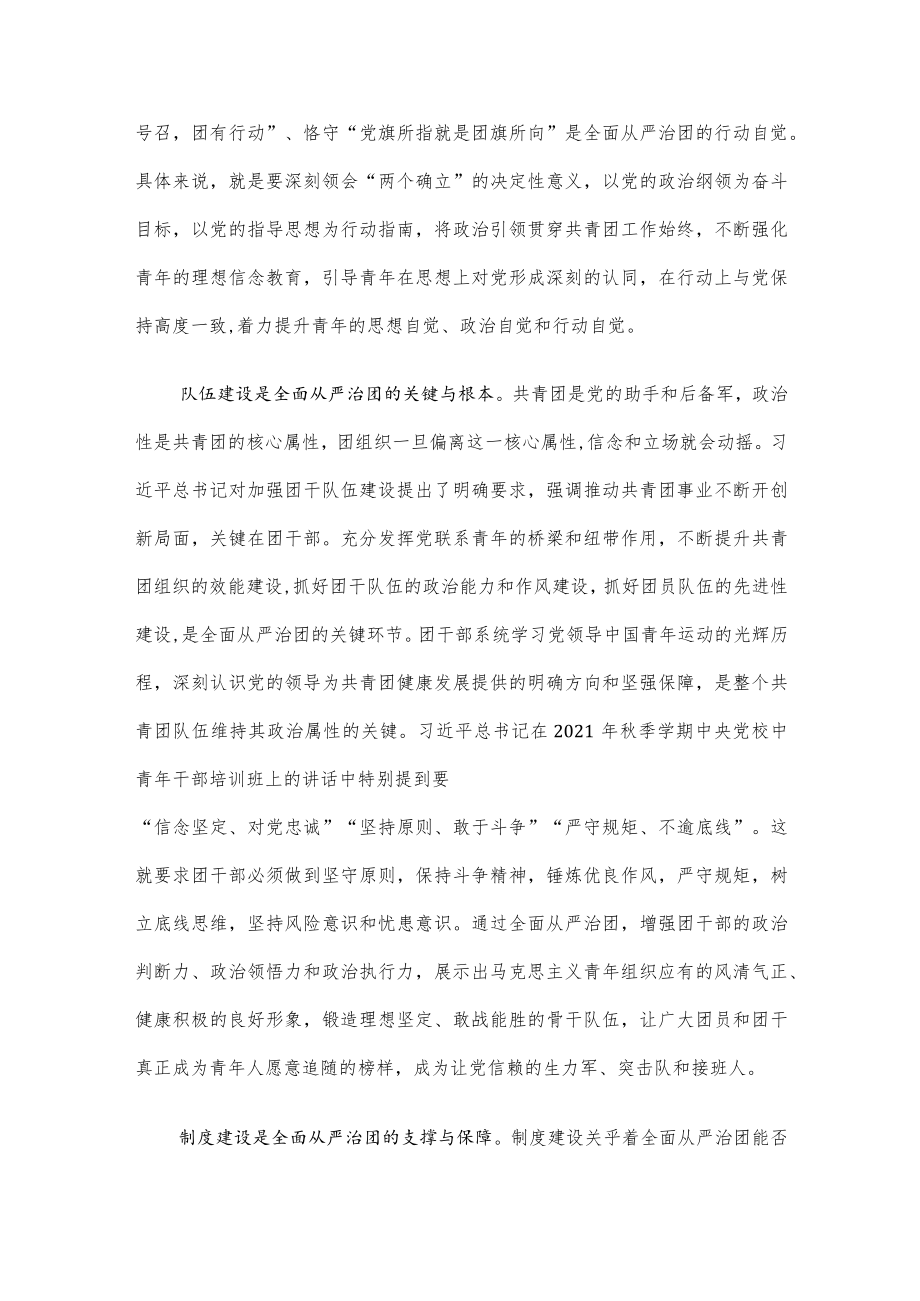 专题党课讲稿：以全面从严治团护航新时代共青团工作新征程.docx_第2页