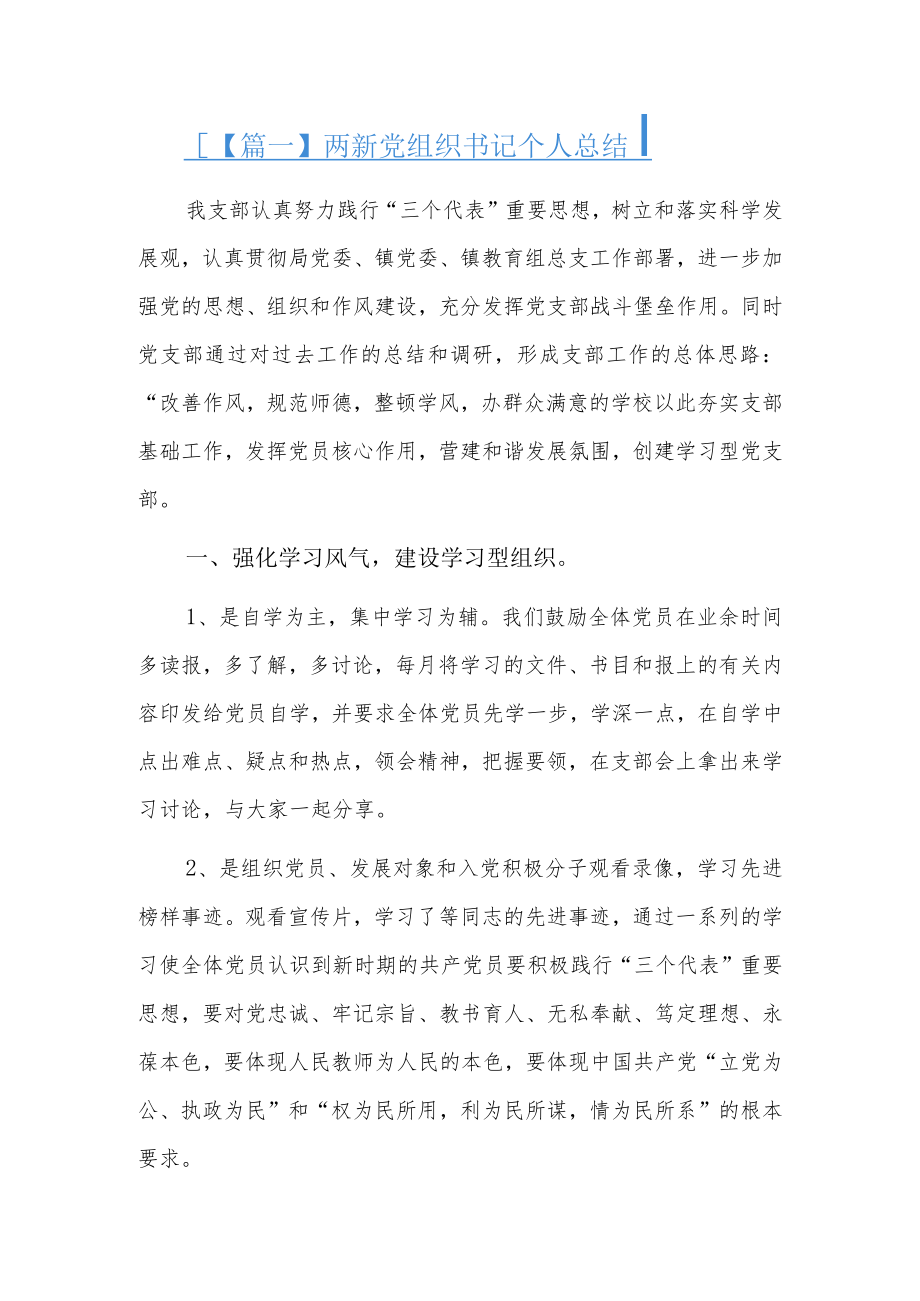 两新党组织书记个人总结3篇.docx_第1页