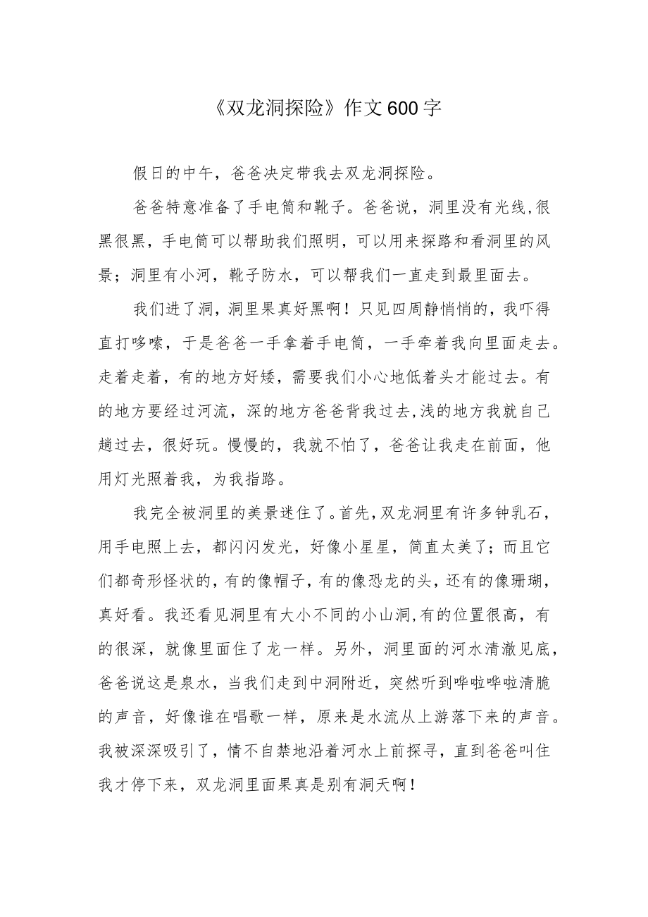 《双龙洞探险》作文600字.docx_第1页