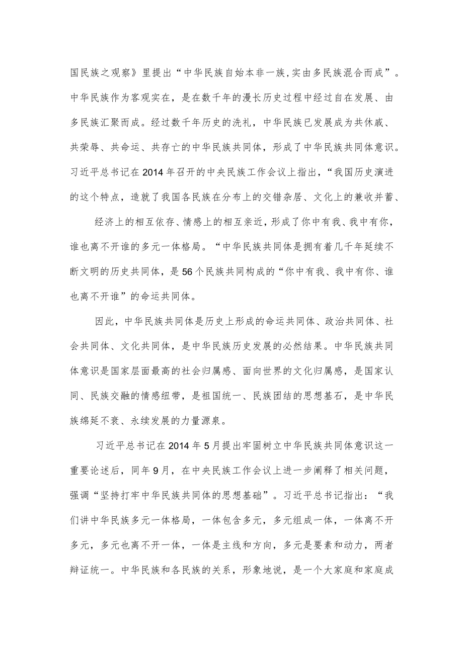 党课：铸牢中华民族共同体意识.docx_第3页