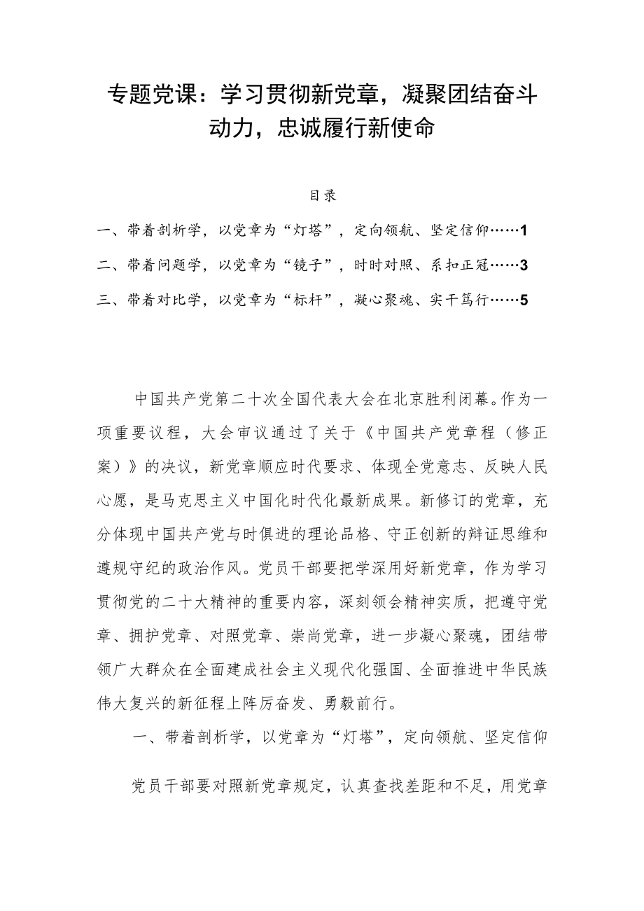 专题党课：学习贯彻新党章凝聚团结奋斗动力忠诚履行新使命.docx_第1页