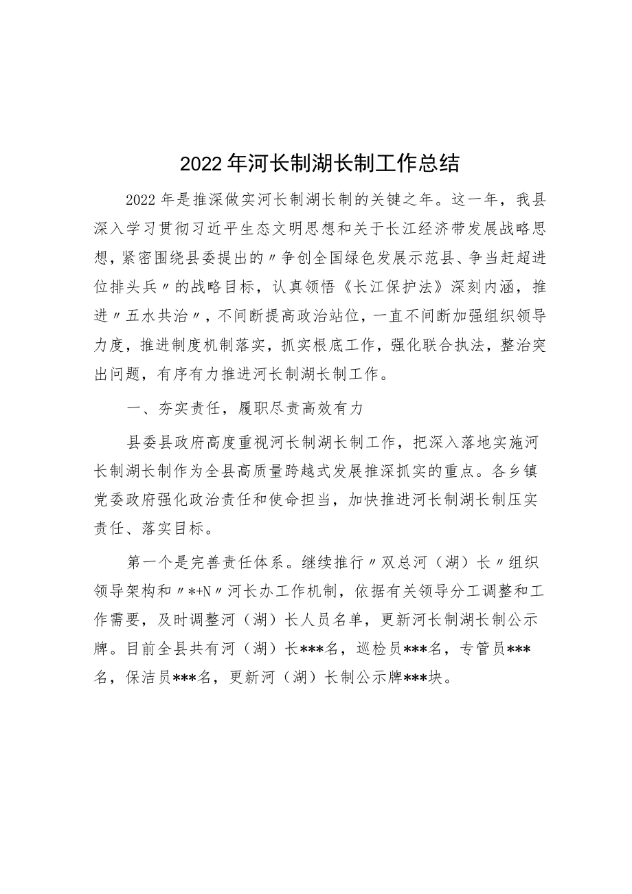 2022年河长制湖长制工作总结.docx_第1页