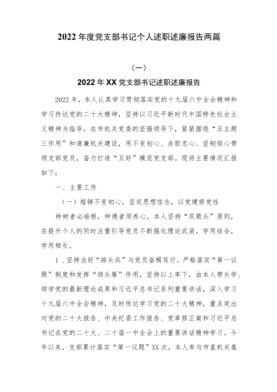2022年度党支部书记个人述职述廉报告两篇.docx_第1页