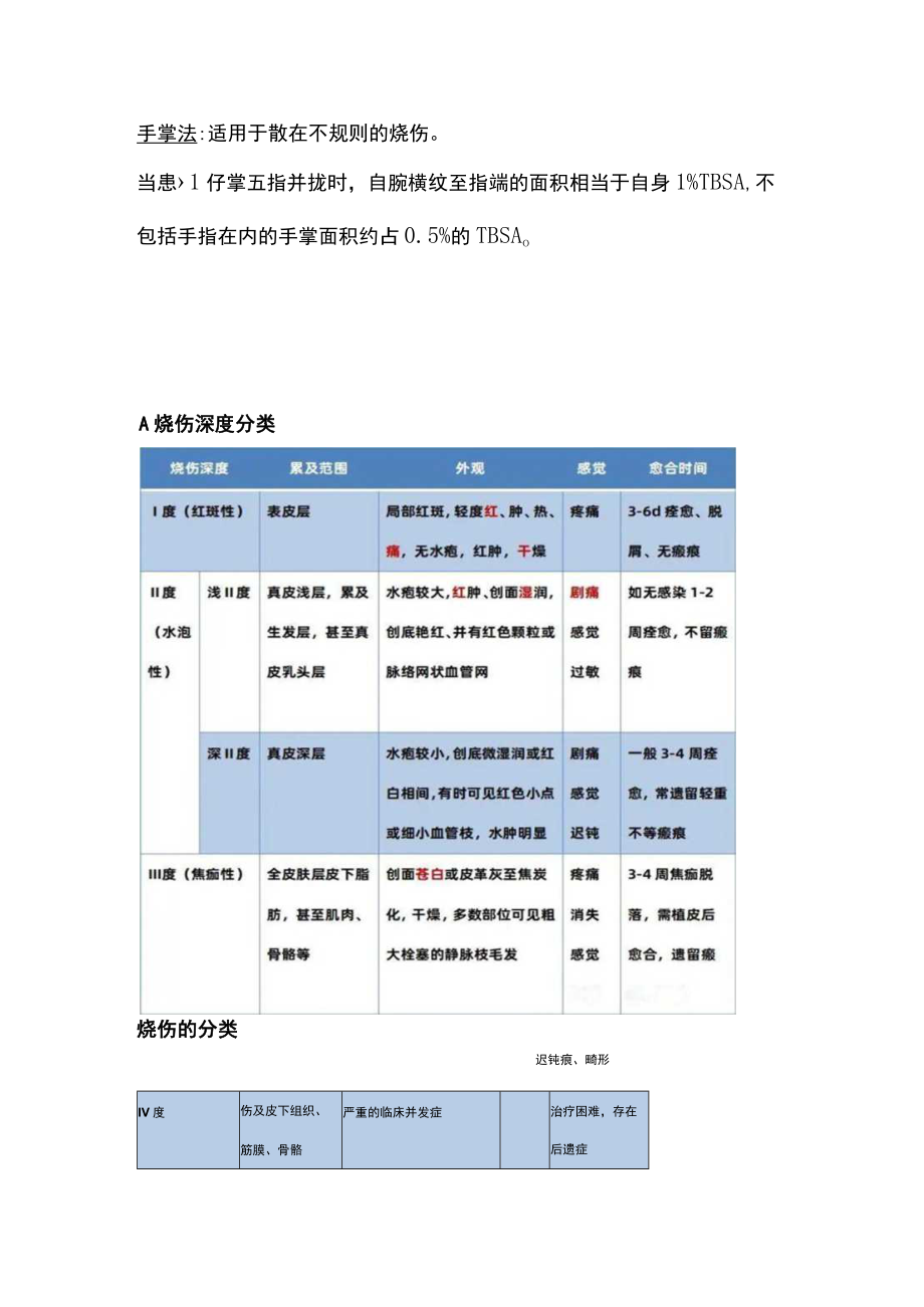 2022儿童烧伤评估及分类（全文）.docx_第2页