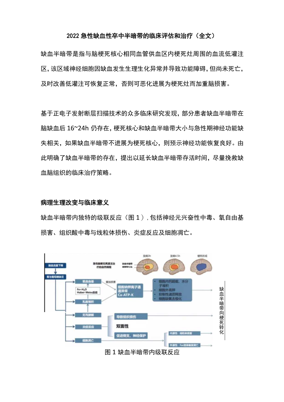 2022急性缺血性卒中半暗带的临床评估和治疗（全文）.docx_第1页