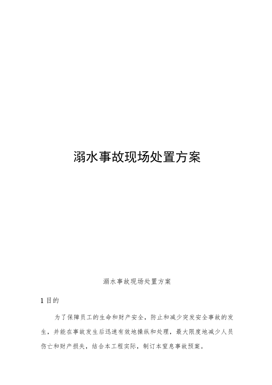 溺水事故现场处置方案（5页）.docx_第1页