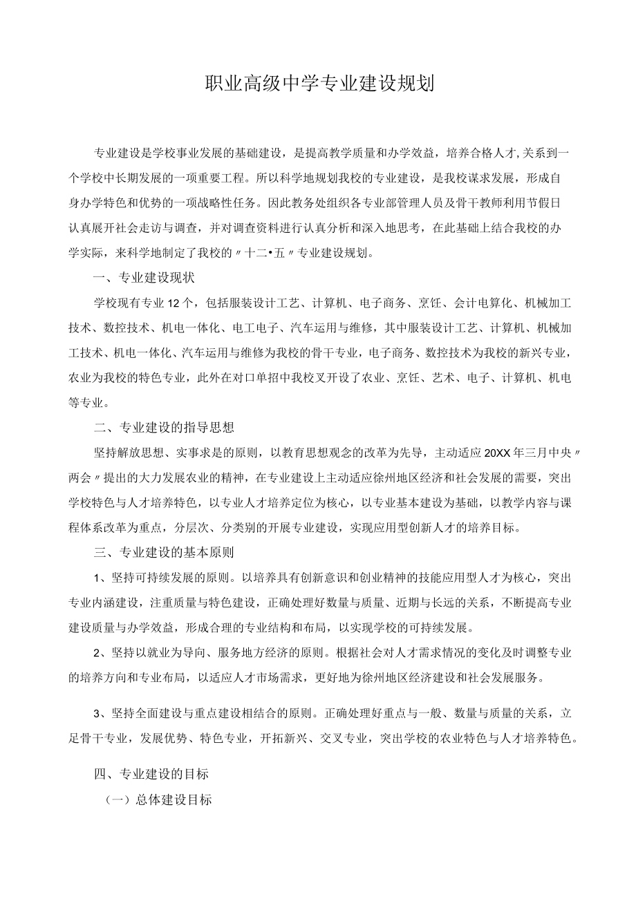 职业高级中学专业建设规划.docx_第1页