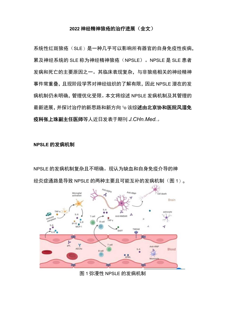 2022神经精神狼疮的治疗进展（全文）.docx_第1页