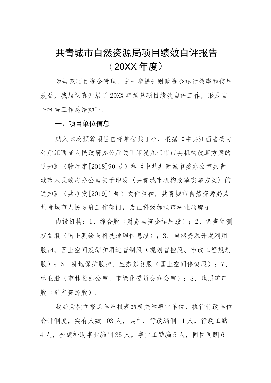 共青城市自然资源局项目绩效自评报告.docx_第1页