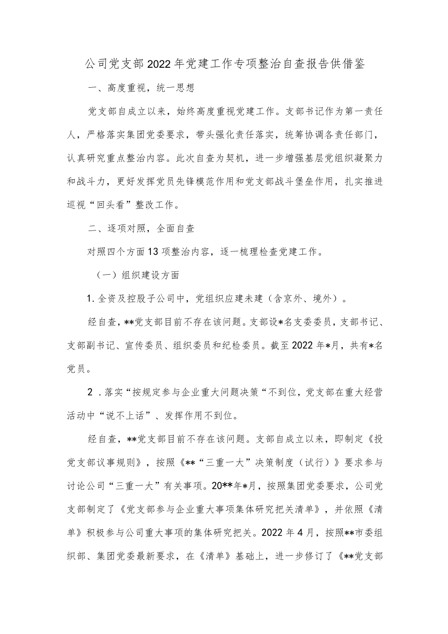 公司党支部2022党建工作专项整治自查报告供借鉴.docx_第1页