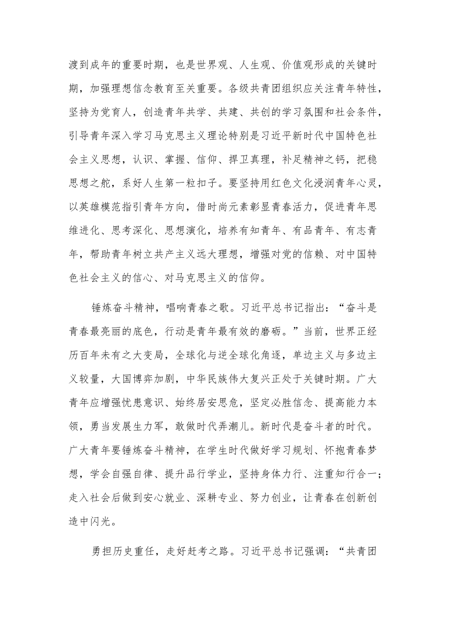 2022建团百重要讲话个人心得感悟范文.docx_第2页