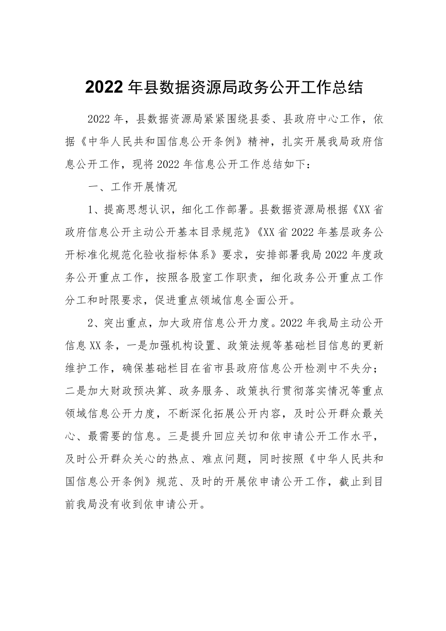 县数据资源局政务公开工作总结.docx_第1页