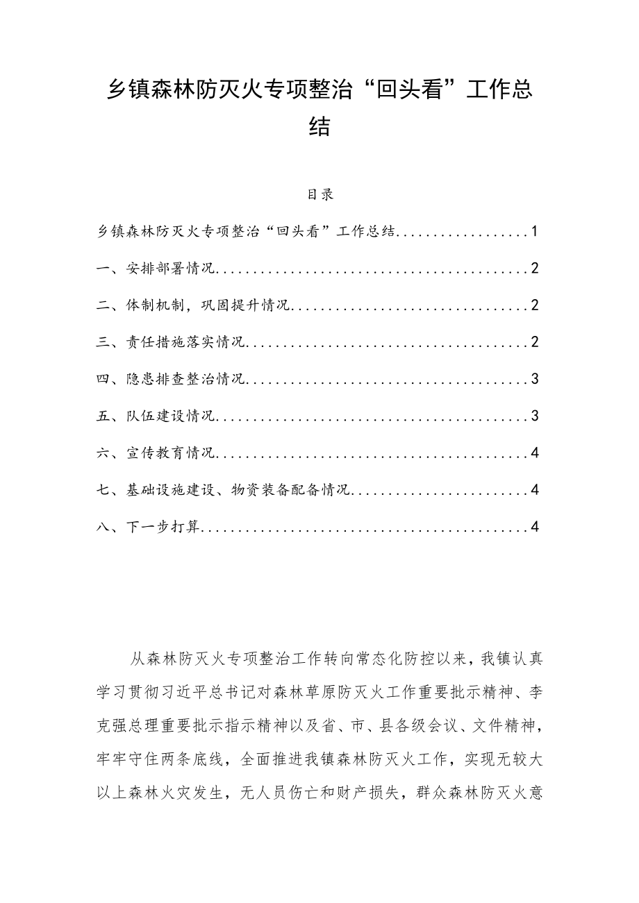 乡镇森林防灭火专项整治“回头看”工作总结.docx_第1页