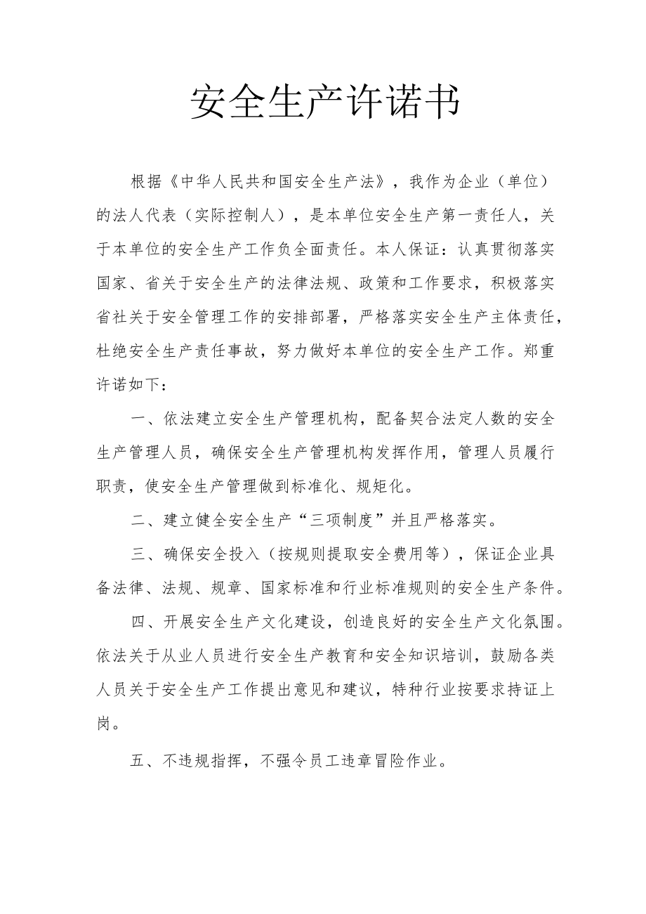 企业法人安全生产承诺书.docx_第1页