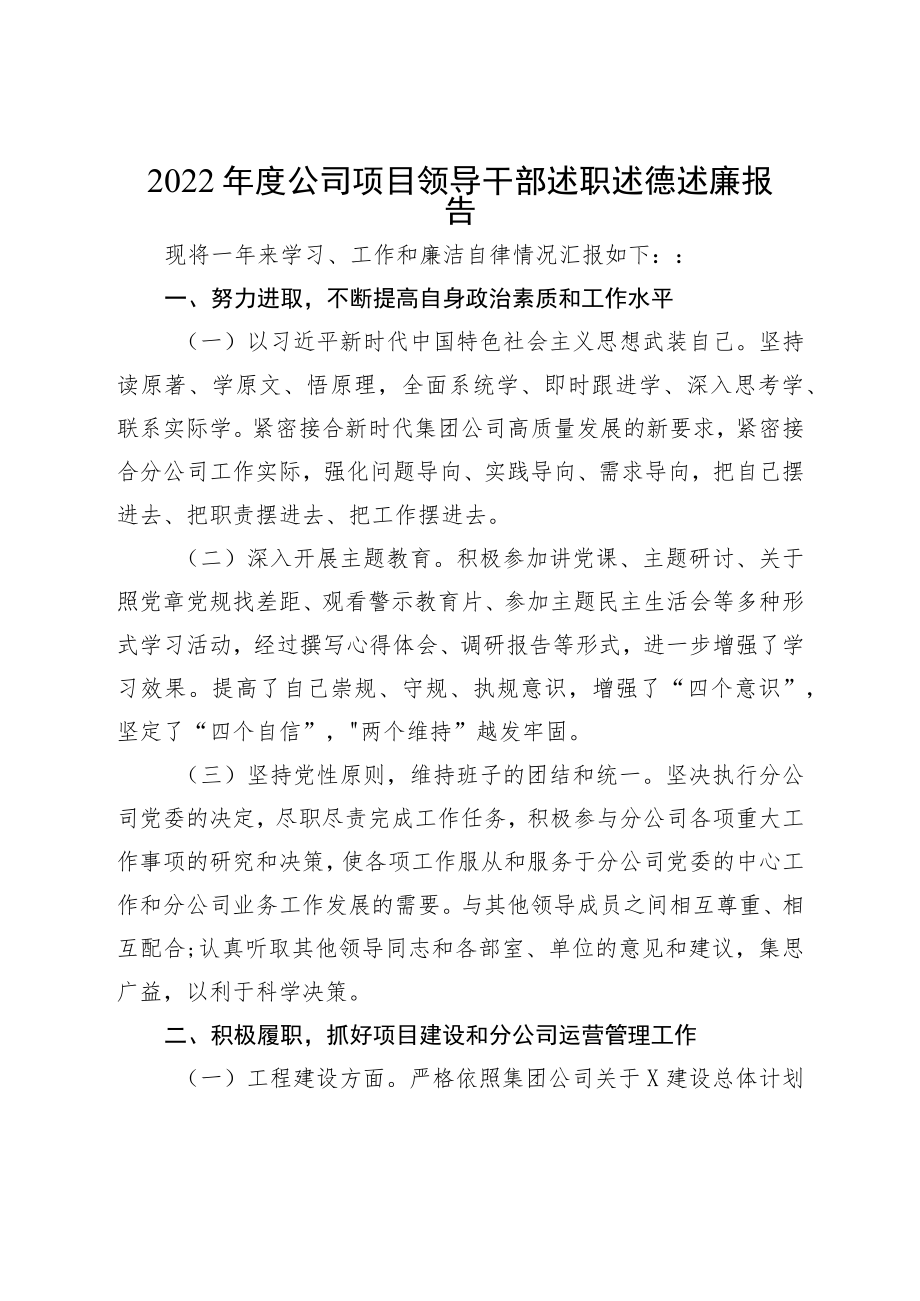 2022年公司项目领导干部述职述德述廉报告.docx_第1页