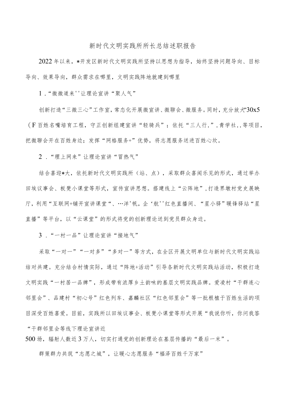 新时代文明实践所所长总结述职报告.docx_第1页