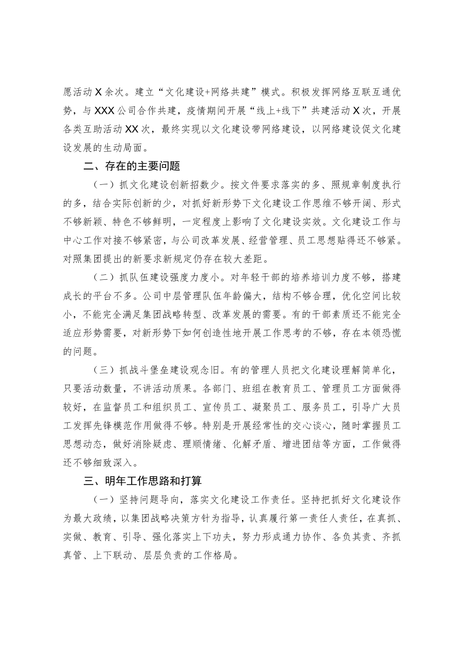 集团公司抓文化建设述职报告.docx_第2页